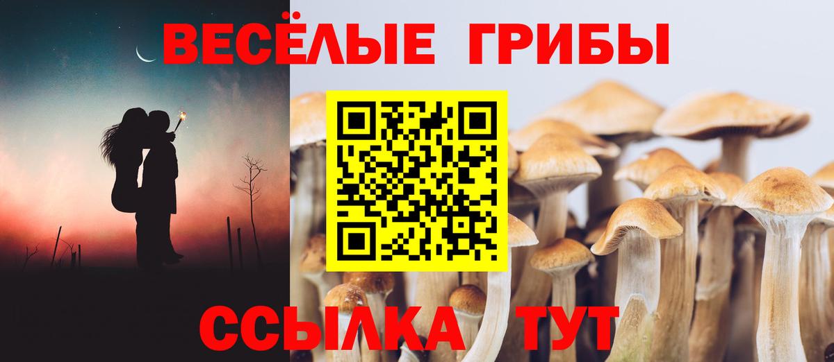 Псилоцибиновые грибы GOLDEN TEACHER  Вход с VPN  Заволжье 