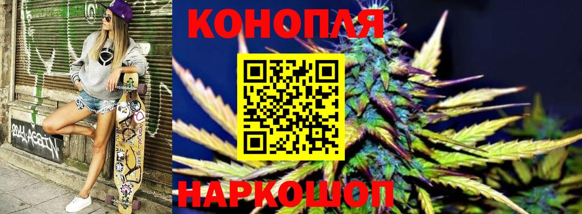 Каннабис сатива Заволжье